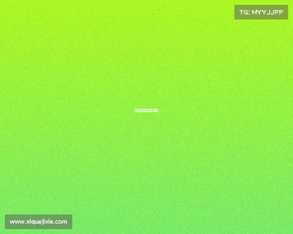 指尖电子商务有限公司