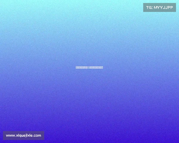 电子竞技赛车设备(电竞赛车比赛有哪些)